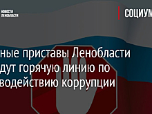 Судебные приставы Ленобласти проведут горячую линию по противодействию коррупции
