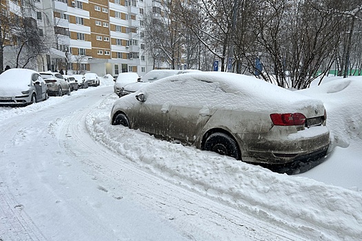 Депутат Козлов: Площадки у подъездов во время снегопада должны чистить каждые 3 ч