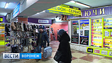 В мэрии Воронежа рассказали о начале реконструкции подземного перехода у Цирка