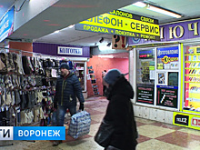 В мэрии Воронежа рассказали о начале реконструкции подземного перехода у Цирка