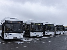 Пять новых автобусов выйдут на маршруты в Ростове