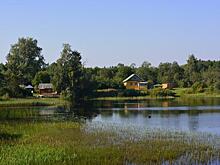 Россельхозбанк: внутренний аграрный туризм вырастет на 1-2 млн человек