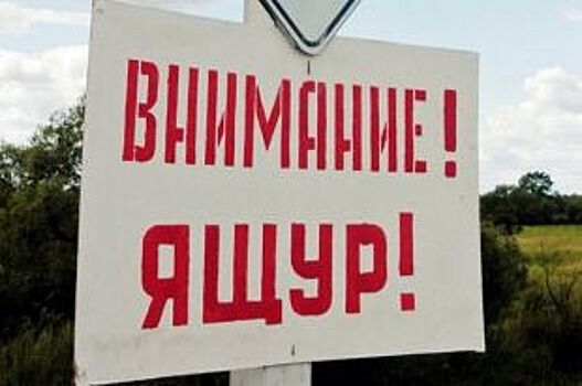 Одна паршивая овца. Как в Башкирию попал ящур, который не видели 40 лет?
