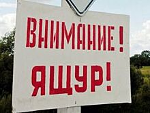 Одна паршивая овца. Как в Башкирию попал ящур, который не видели 40 лет?
