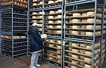 Маслосырзавод в Нижегородской области выпускает 17 видов сыров