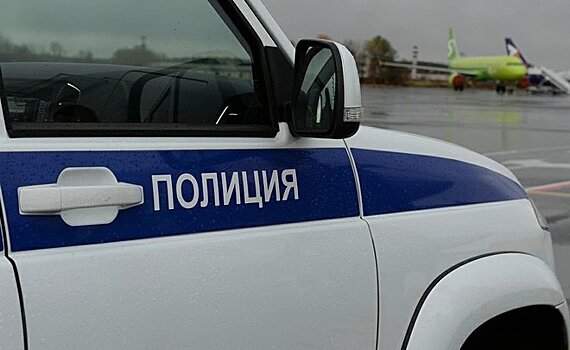 Раздевшийся на взлетно-посадочной полосе пассажир рейса Москва — Казань получил штраф