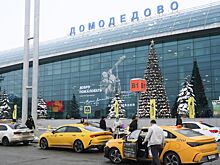В Шереметьево заявили о готовности купить аэропорт Домодедово