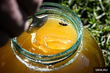 В Екатеринбург привезли опасный мед из Таджикистана