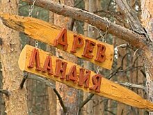 На Барковке появится парк-площадка резных деревянных скульптур
