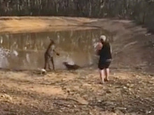 Австралиец стерпел пинки кенгуру и не выпустил пиво из рук