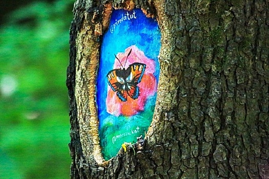 В парке «Кузьминки-Люблино» разрисуют деревья для их сохранения