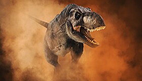 Оспорена гипотеза о развитом интеллекте тираннозавров