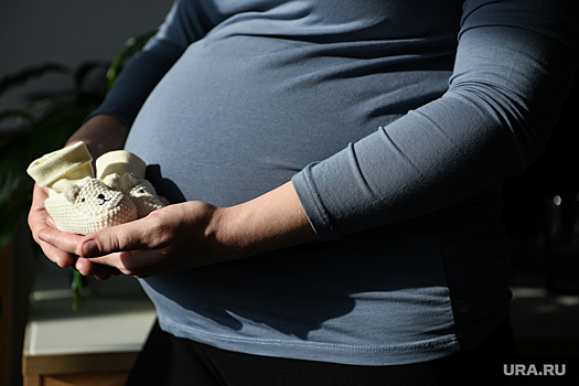 Слуцкий предложил обслуживать беременных в аэропортах без очереди