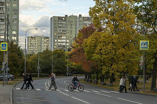 Москвичей предупредили о морозах в выходные