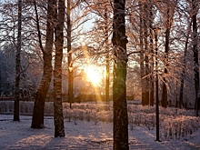 30-градусные морозы и снегопады вернутся в Приморье: даты