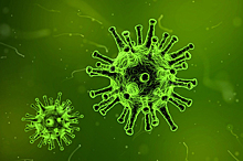 Ученый предупредил о последствиях коронавируса