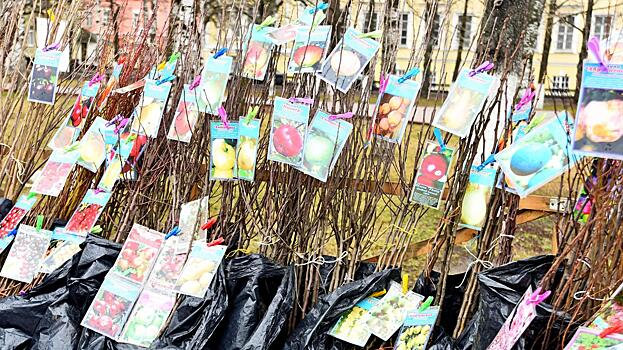 3000 вологжан купили саженцы и семена для нового «Дачного сезона» в центре Вологды