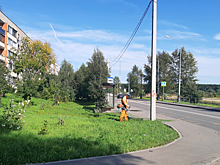 Траву скосили на территории поселка в Рязановском