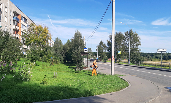Траву скосили на территории поселка в Рязановском