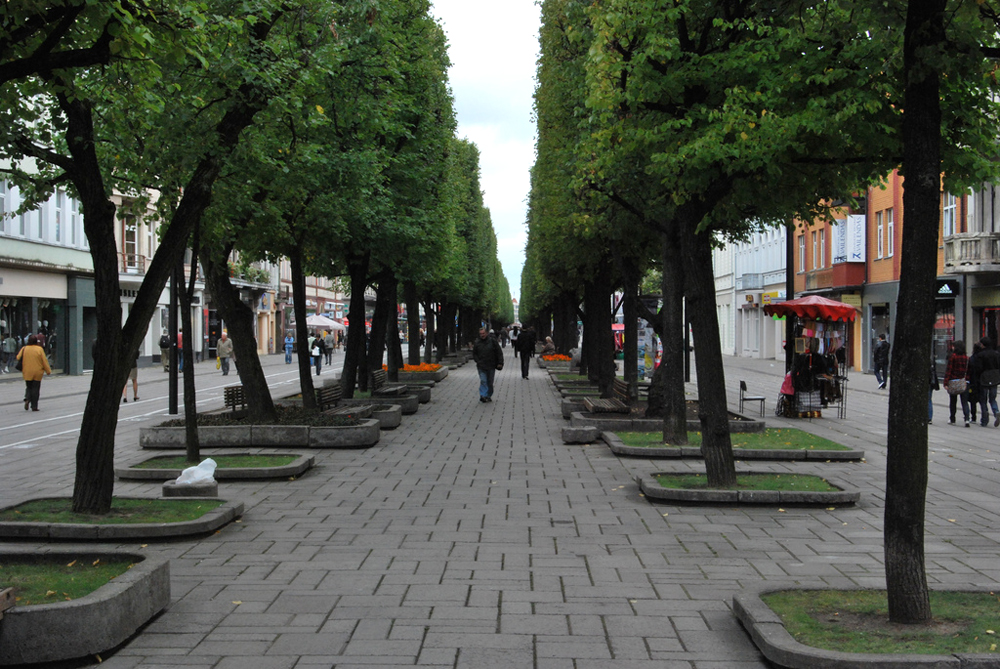Аллея Лайсвес, Каунас, Литва