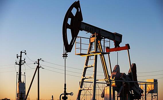 Качаем нефть как арабские шейхи, а живем хуже Гондураса
