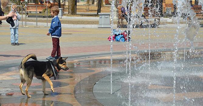 Пешеходный фонтан в Хабаровске постараются запустить 9 мая