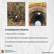 Калининградцев попросили фотографировать загаженные реки и озёра, чтобы ликвидировать сливы нечистот