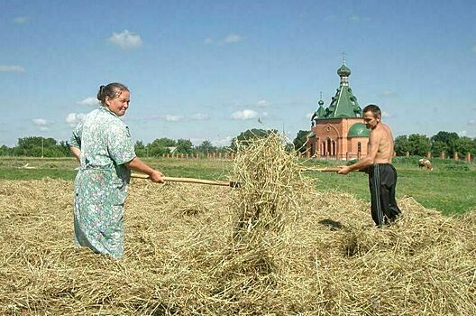 Депутаты Удмуртии предложили упростить назначение старост в селах