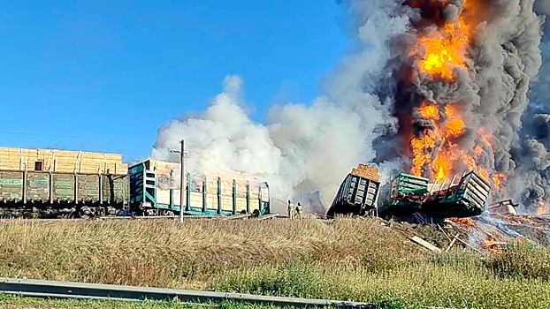 Диверсия не рассматривается в качестве причины ЧП с поездом под Смоленском