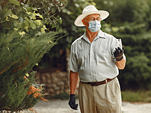 С огорода — к онкологу. Как обычные работы на даче приводят к раку почки