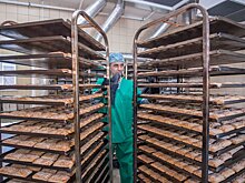 Почему в сибирской экономике не растет доля малого бизнеса
