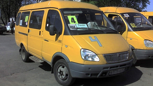 Власти Петербурга обосновали стоимость проезда в маршрутках