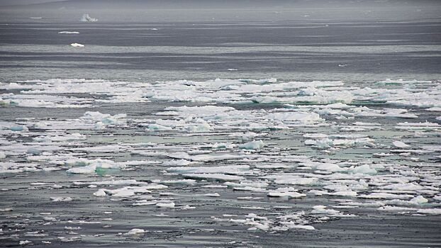Арктика вступила в новую климатическую эру