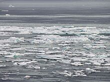 Арктика вступила в новую климатическую эру