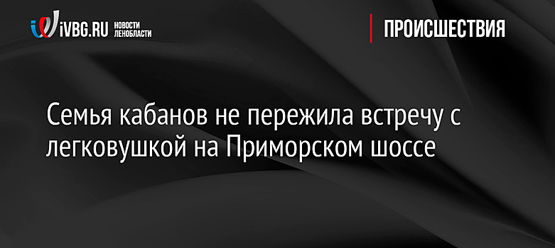 Семья кабанов не пережила встречу с легковушкой на Приморском шоссе