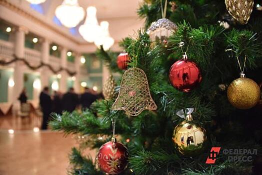 В Госдуме стартовала новогодняя благотворительная акция «Елка желаний»