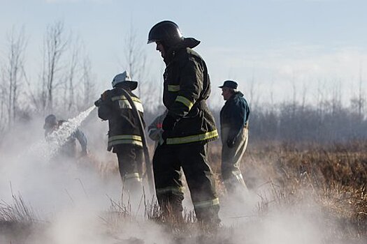 В Калининградской области пожарные 44 раза за сутки выезжали на палы травы