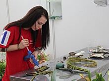 Ставропольские профессионалы выступят в финале WorldSkills Russia