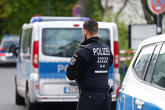 Столетняя старушка накинулась на воров с палкой