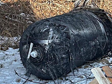 Обломок ракеты Маска упал во двор к жителю Польши