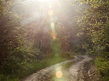 Визит-центр с музеем откроют в Самурском нацпарке в Дагестане