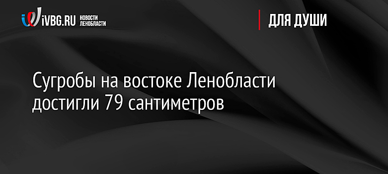 Сугробы на востоке Ленобласти достигли 79 сантиметров