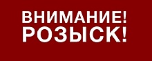 В Пскове продолжаются поиски мужчины, пропавшего еще летом