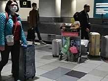 «Аэрофлот» не взял питомцев россиян на вывозной рейс из Шанхая