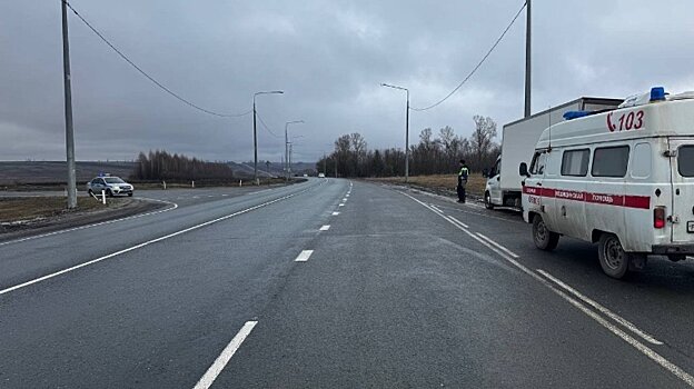 Водителю «Газели» стало плохо на трассе в Лунинском районе