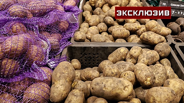 Эксперт объяснил причины сильного подорожания картофеля