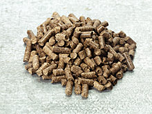 В Ростовской области в августе экспортировали в Турцию 2,8 тысячи тонн подсолнечного шрота