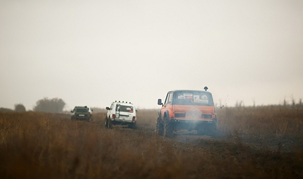 Волгоградским лесникам купят 30 «Нив» за 16 миллионов рублей