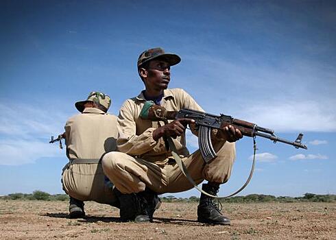 Эфиопские силы освободили город в северной части региона Тыграй