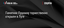 Памятник Пушкину торжественно открыли в Луге